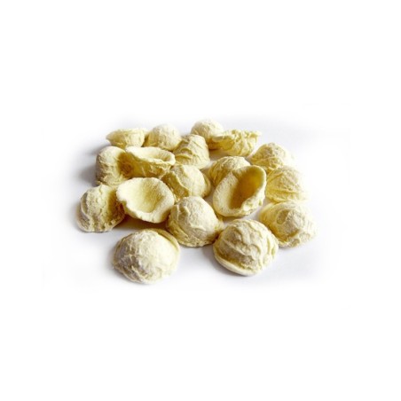 Orecchiette - Fresh Pasta (500g) (10 in a box)